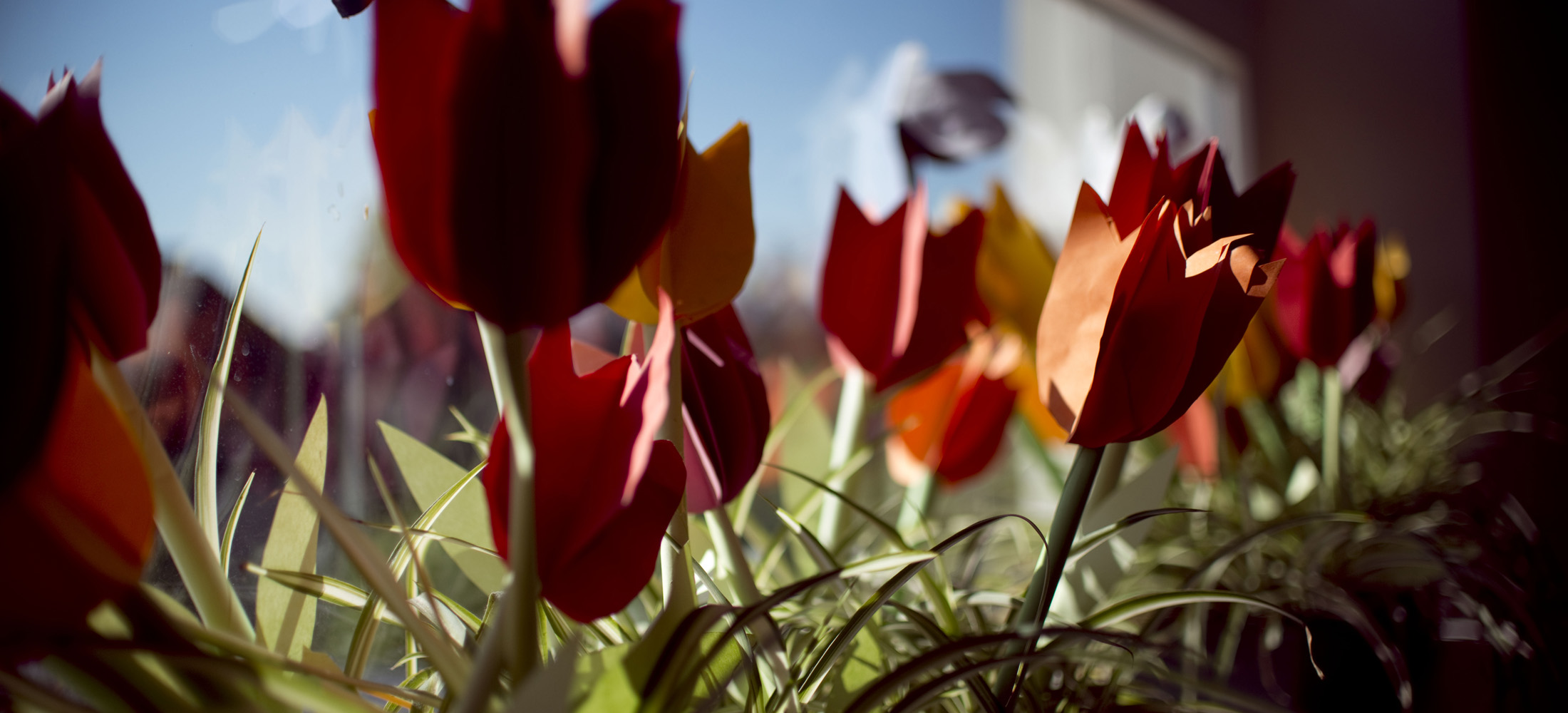 Header GeFensterdeko1 (2)